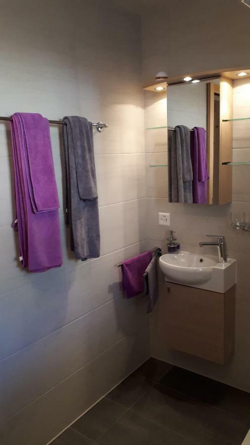 Joli studio meublé de 38m2 dans chalet construit en 2016 Appartement Leysin Buitenkant foto